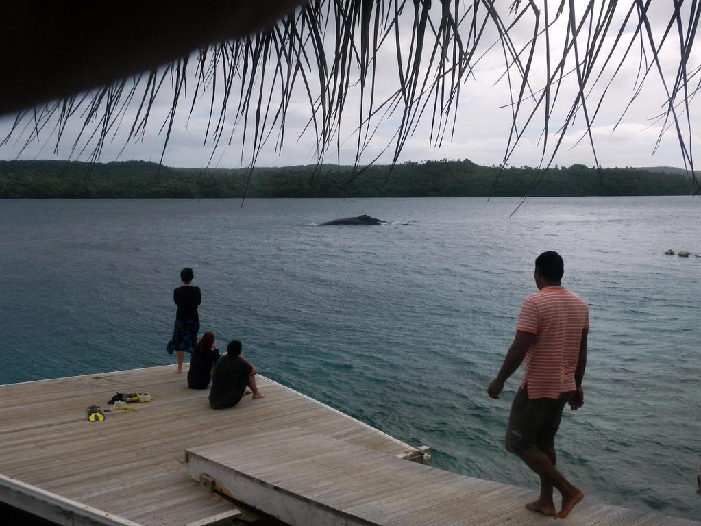 Tongan Beach Resort Utungake Kültér fotó